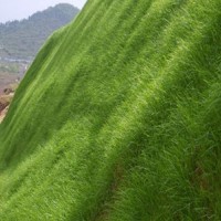 山體復綠 客土噴播 山體綠化 巖石復綠 植物護坡