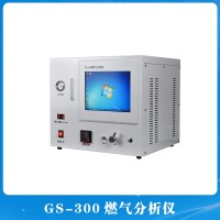 GS-300燃氣分析儀