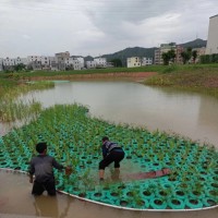 生態浮島