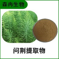 森冉生物 問荊提取物 節節草提取物 植物提取原料粉