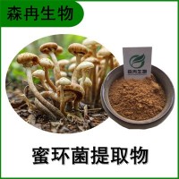 森冉生物 蜜環(huán)菌提取物 蜜環(huán)菌多糖 榛蘑提取物 原料粉