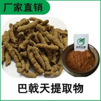 森冉生物 巴戟天提取物 雞腸風提取物 比例提取原料粉