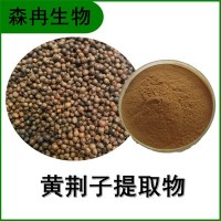 森冉生物 黃荊子提取物 布荊子提取物 比例提取原料粉