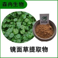 森冉生物 鏡面草提取物 翠屏草提取物 比例提取原料粉